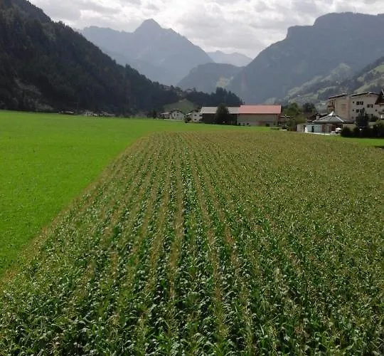 Gaestehaus Wildauer Fogadó Zell am Ziller